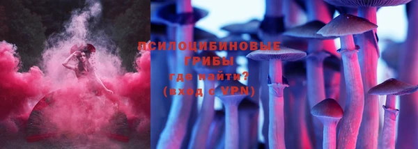 2c-b Иннополис