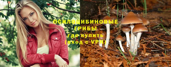 2c-b Иннополис