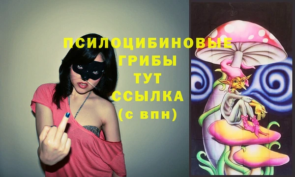 2c-b Иннополис